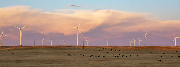 Wind turbines in field against sunset sky