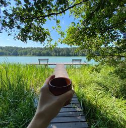 Man holding sunglasses by plants against trees