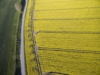 High angle view of agricultural field