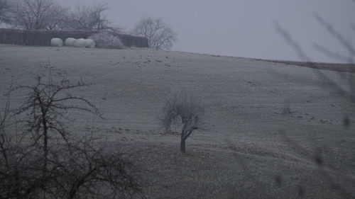 Scenic view of snow covered landscape