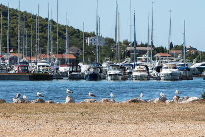 Sailboats moored in lake against sky