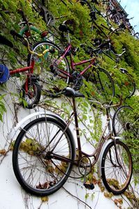 Parked bicycles parked at roadside