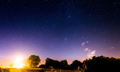 Low angle view of silhouette trees against sky at night