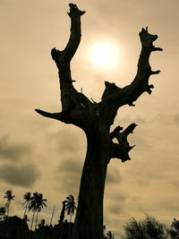 Low angle view of silhouette tree against sky