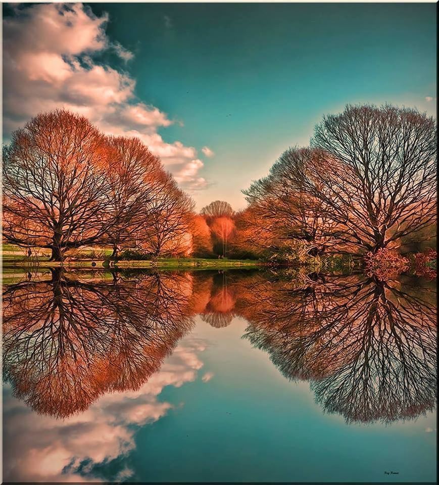 tree, reflection, water, sky, bare tree, tranquility, tranquil scene, lake, scenics, beauty in nature, waterfront, autumn, nature, auto post production filter, branch, cloud - sky, season, blue, transfer print, change