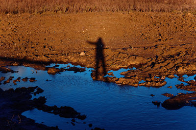 High angle view of rocks in water