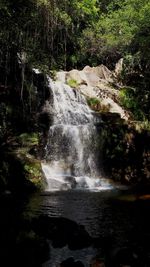 Scenic view of waterfall in forest