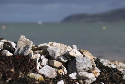 Close-up of rocks on beach