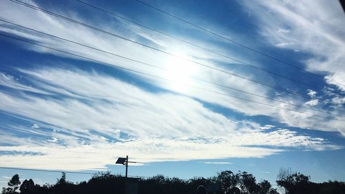 Low angle view of silhouette trees against sky
