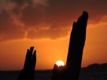 Close-up of silhouette wood against orange sky