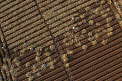 Full frame shot of roof tiles