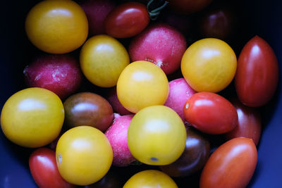 Full frame shot of multi colored candies