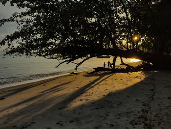 Silhouette trees on beach against sky