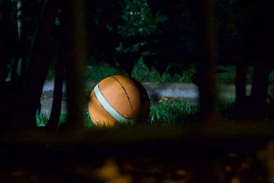 Basketball hoop on field at night