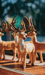 Close-up of deer on table