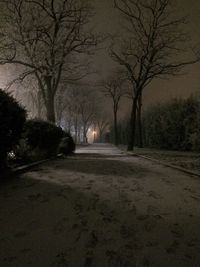 Silhouette bare trees on landscape at night