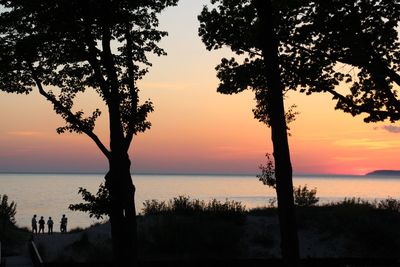 Silhouette trees against sea at sunset