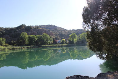 Reflection of trees on water against clear sky