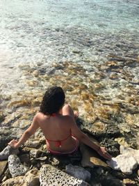 Rear view of young woman sitting on rock on shore at beach