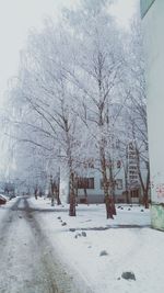 Bare trees on snow covered landscape against clear sky