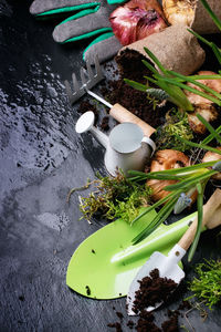 High angle view of onions and gardening equipment on wet stone