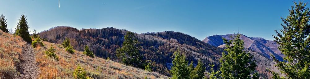 Panoramic view of landscape against clear sky