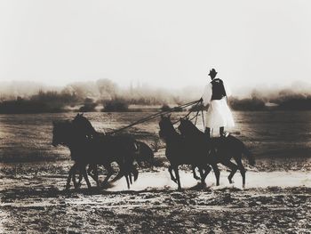 Men riding horse on land