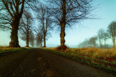 Dirt road amidst trees against sky