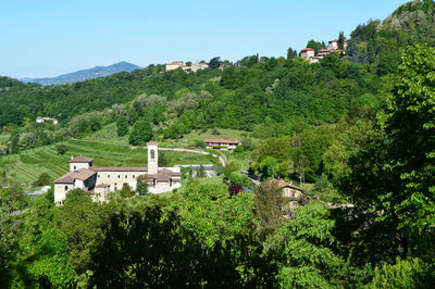 Trees and plants on landscape against mountains