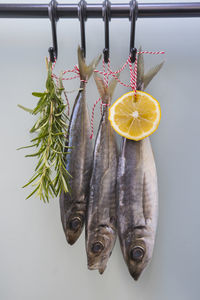 Close-up of fruits hanging on white background