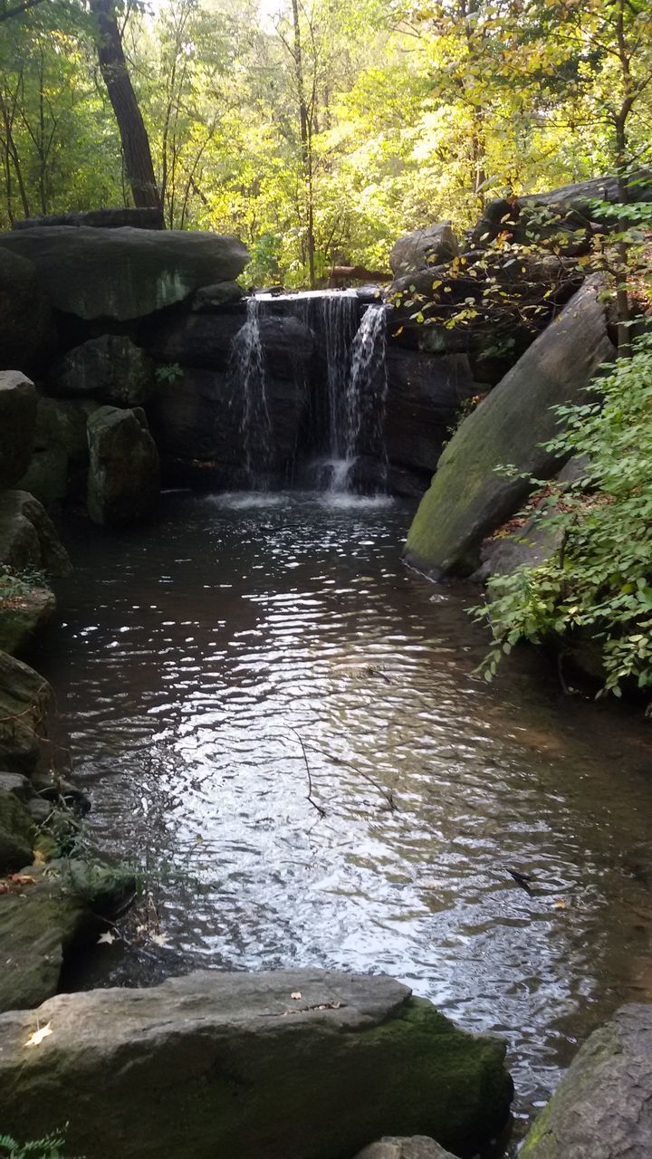 WATER FLOWING THROUGH ROCKS IN FOREST