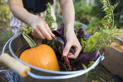 Midsection of woman washing vegetables in bucket at community garden