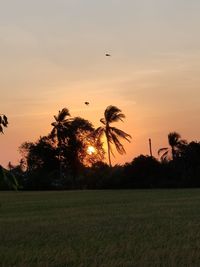 Silhouette trees on field against sky during sunset