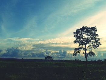 Scenic view of grassy field against sky