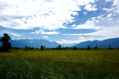Scenic view of landscape against sky