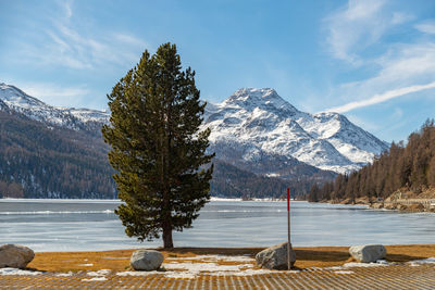 Silvaplana, switzerland, feb 21, 2023 panorama at the lake of silvaplana and the mount corvatsch 
