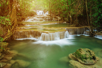 Scenic view of waterfall in forest