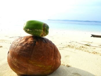 Close-up of lemon on beach