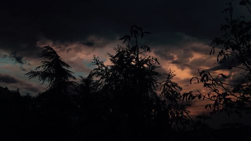 Low angle view of silhouette trees against sky at sunset