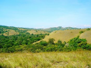 Scenic view of field against clear sky