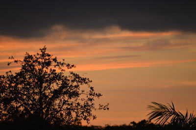 Silhouette trees against sky during sunset
