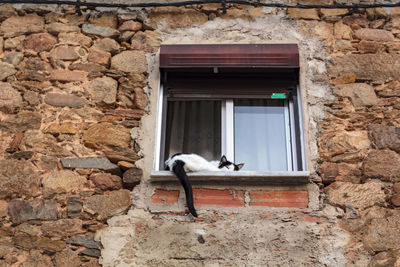 Cat in the window of a stone house