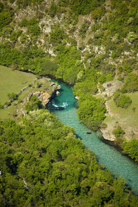 High angle view of river amidst trees in forest