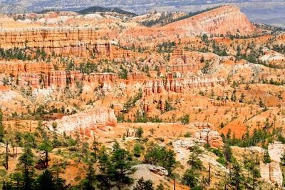 Aerial view of landscape