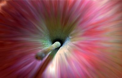 Full frame shot of pink flower