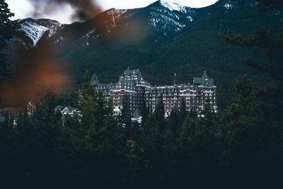 High angle view of trees and buildings in forest