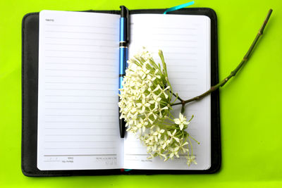 Directly above shot of open diary and flowers on green background