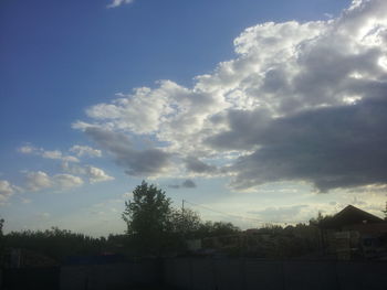 Trees against cloudy sky