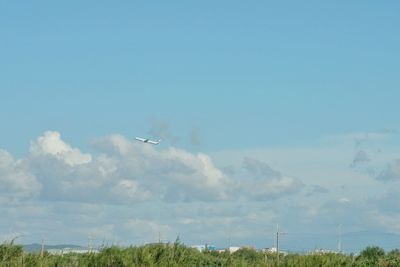 Low angle view of airplane flying in sky