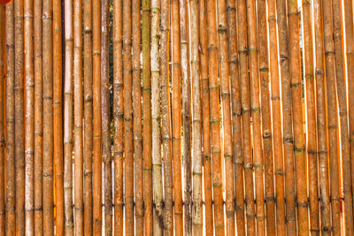 Full frame shot of bamboo on wooden fence